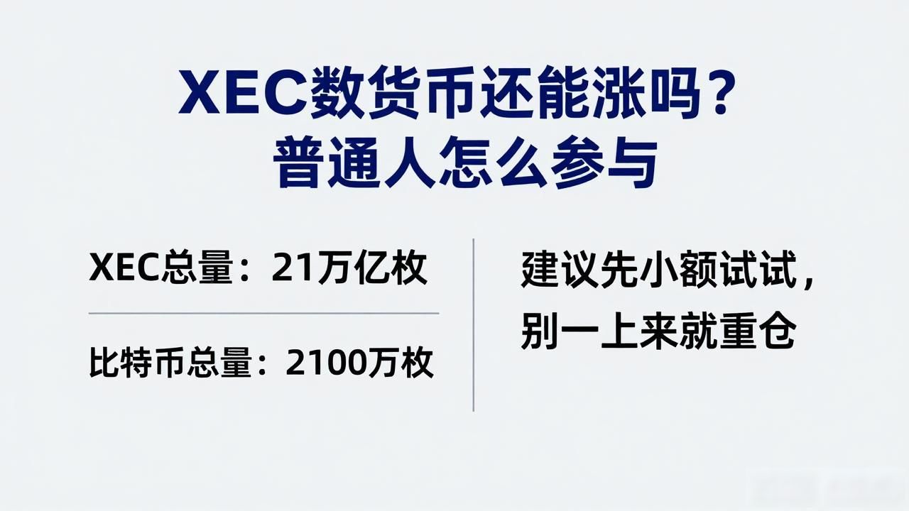 XEC数字货币还能涨吗？普通人怎么参与